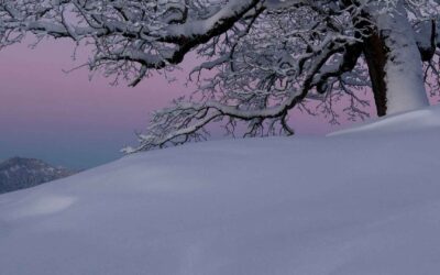 Ein Deutscher, ein Schweizer und ein Österreicher sitzen im Zug.